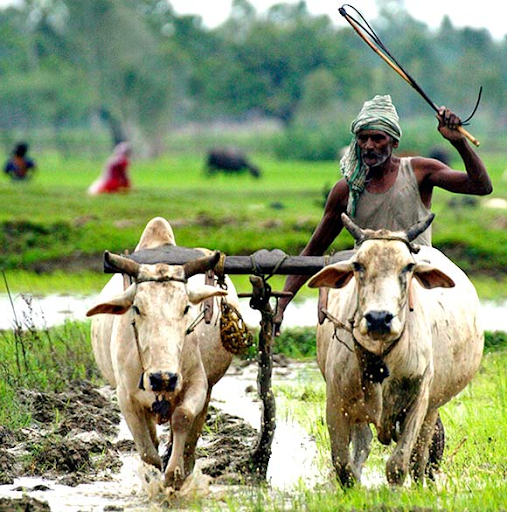 Kisan Diwas 2020 HD Images, Wishes & Quotes: Send Happy National Farmers'  Day Messages, WhatsApp Messages, Kisan Pics & Greetings to Celebrate  Chaudhary Charan Singh's Birth Anniversary | 🙏🏻 LatestLY