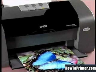 Reset Epson D68 printer by Resetter program