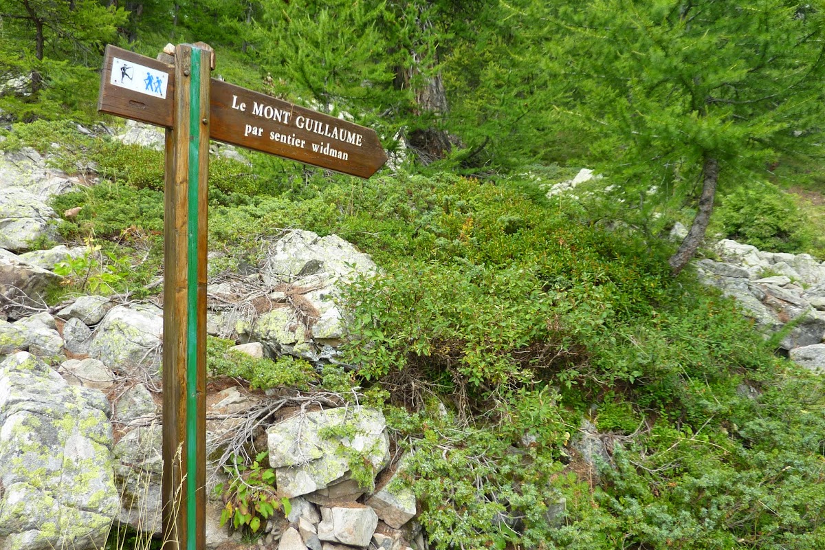 P1040081.JPG