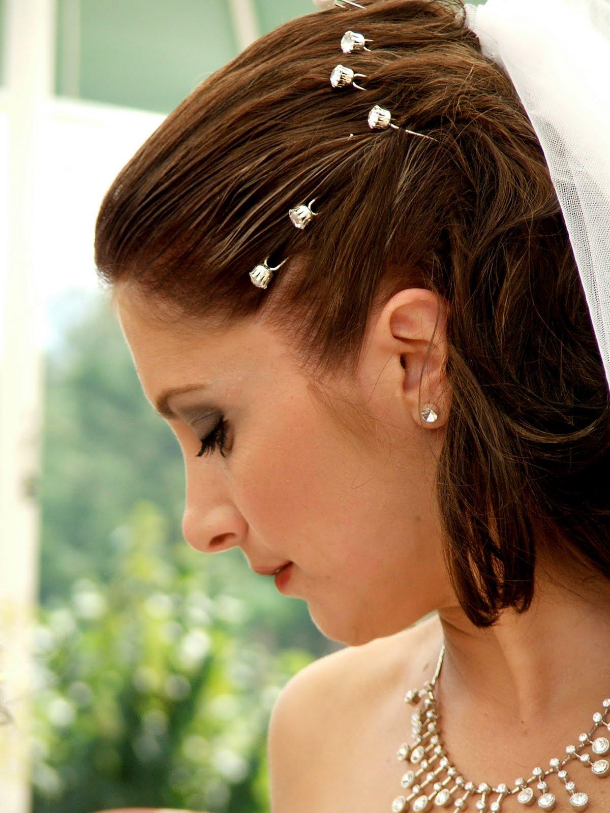 Wedding hairstyles 2011 with veil