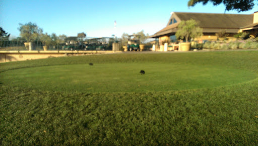 Golf Course «Contra Costa Country Club», reviews and photos, 801 Golf Club Rd, Pleasant Hill, CA 94523, USA