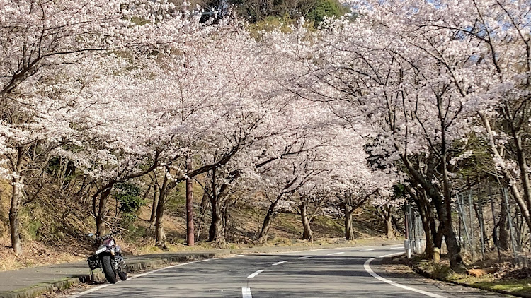 の投稿画像3枚目