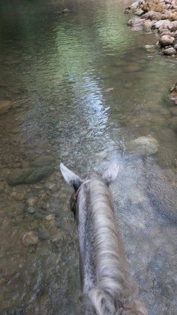 Santo Domingo y Samaná a nuestro aire. - Blogs of Dominican Rep. - Excursión con Santi a la Cascada Limón y Playa Morón (5)