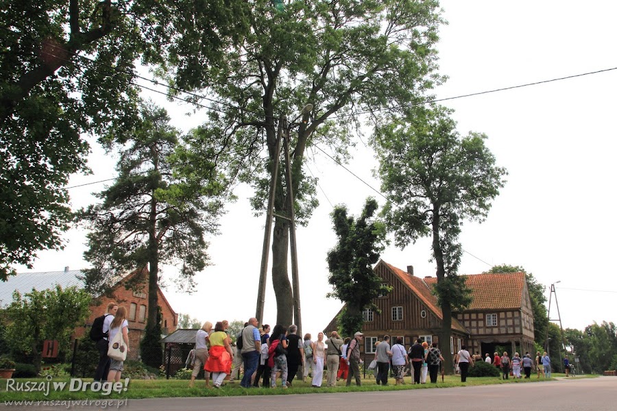 Wycieczka w Nowej Kościelnicy