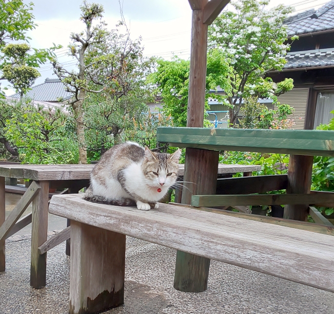 N-ONEのてつやんさんが投稿したカスタム事例の投稿画像3枚目