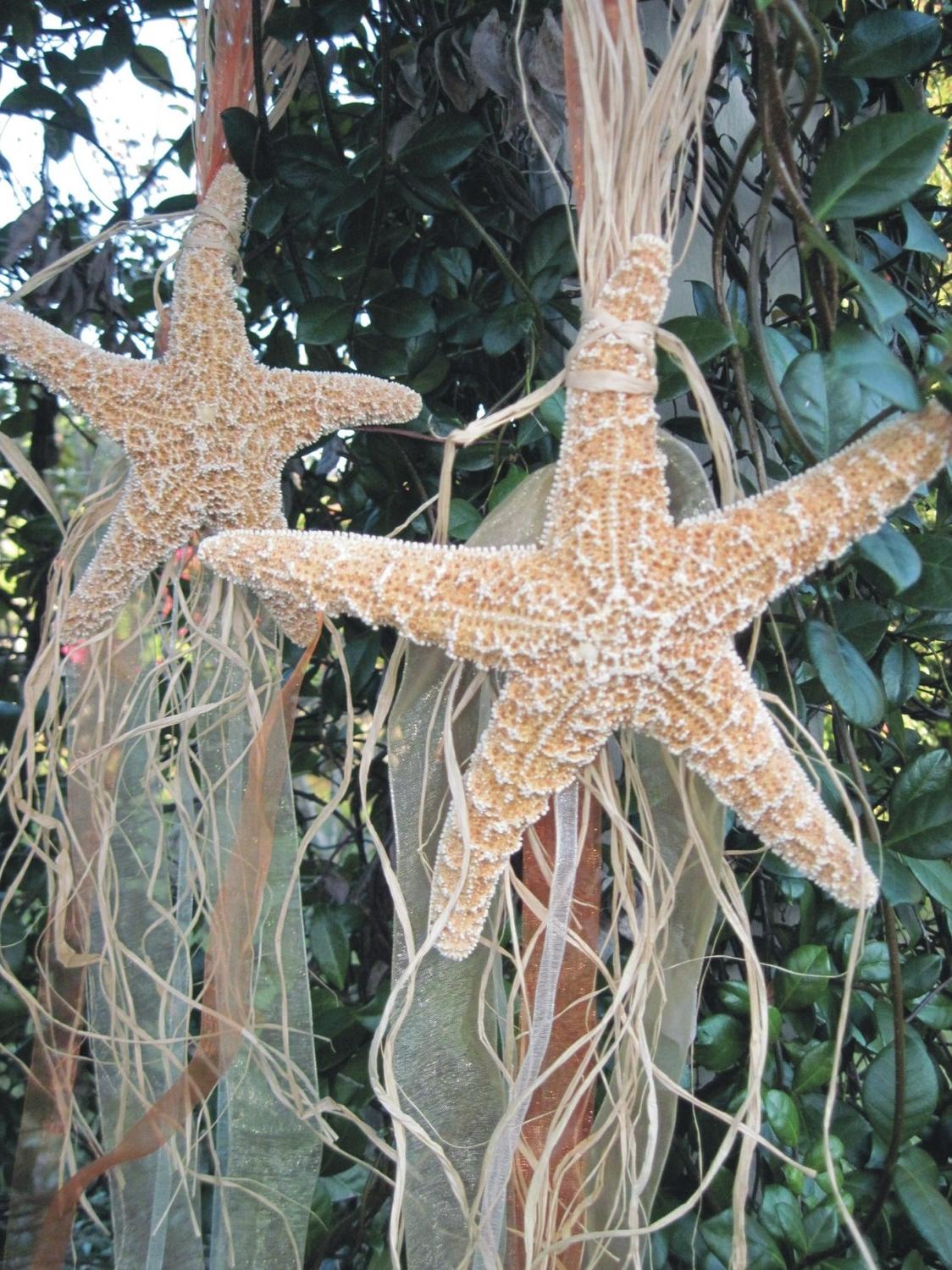 Beach Wedding Decorations