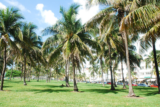 Ocean Drive Gallery