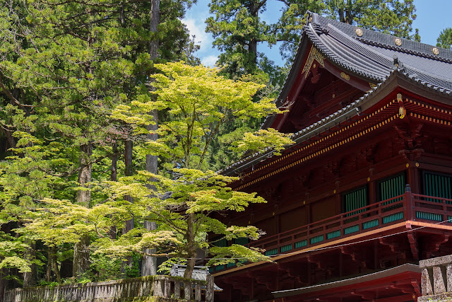 JAPAN is different! - Blogs de Japon - DIA 5: NIKKO (3)