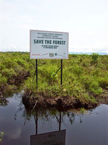 Raja Musa Forest Reserve (PS)