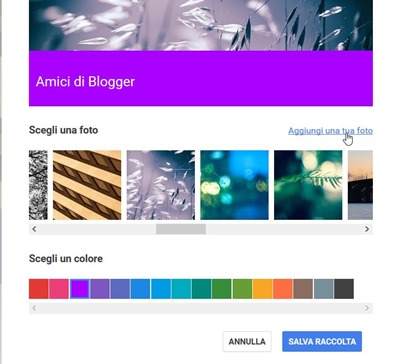 personalizza raccolta google plus