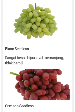  Macam  macam  Jenis Buah Anggur  dan Ciri cirinya 1001 