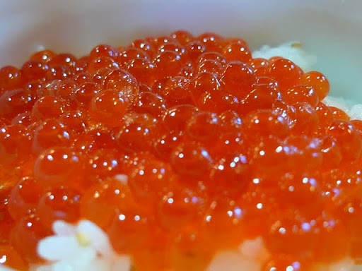 イクラ　イクラ丼