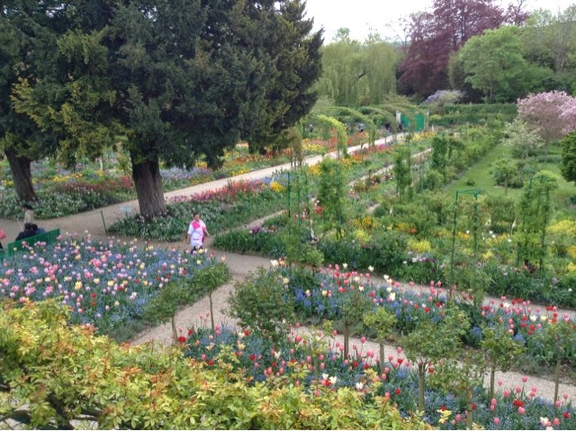 Person wandering in Giverny gardens