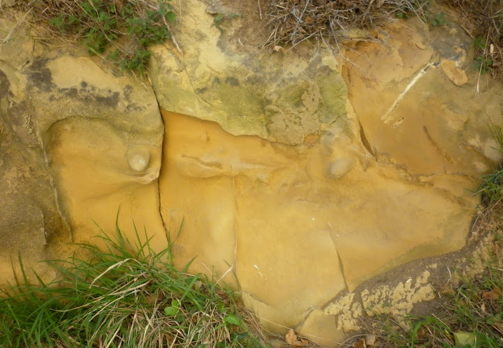 P1000157.JPG
