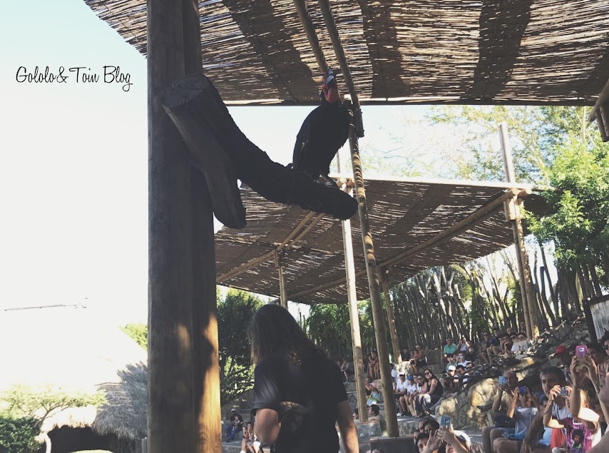 Exhibición aves y mamíferos en Bioparc Valencia