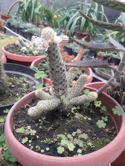 Photos of Vivero Los Alisos