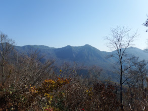 視界が開けて近くに願教寺山