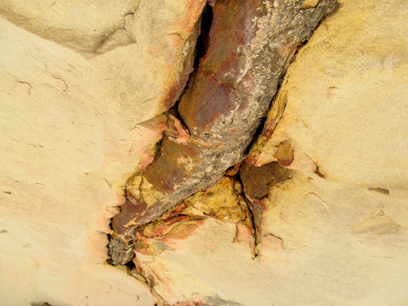 Petrified log in the ceiling of an alcove