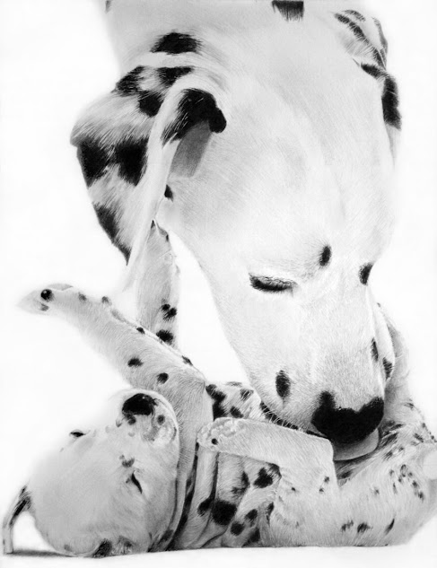 https://lh3.googleusercontent.com/-enWf3f6knus/UHg5R_Kh7mI/AAAAAAABfCc/AL1a_0Jllik/s633/dalmata_by_francoclun-d4yf5bx.jpg