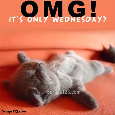 Happy Wednesday  Image - 4