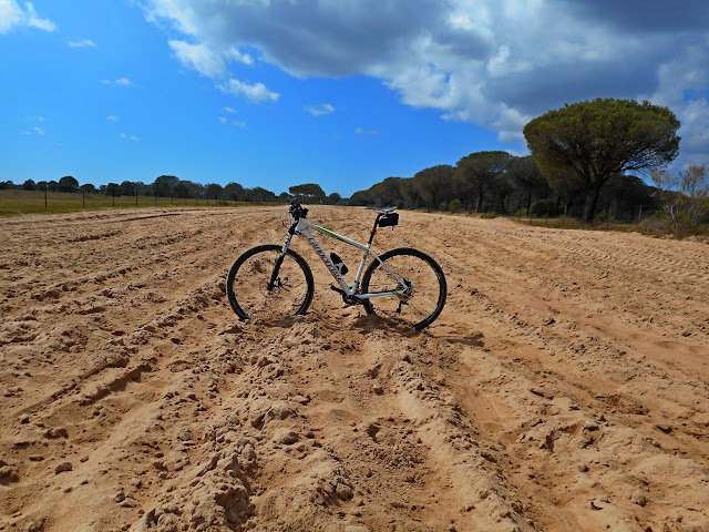 Rutas en bici. - Página 10 DSCN2412