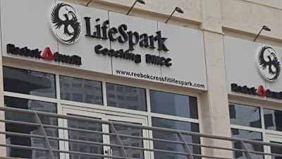 reebok crossfit lifespark