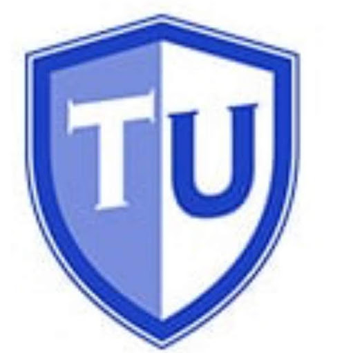 Team Umzug GmbH logo