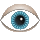 Eye-icon.png