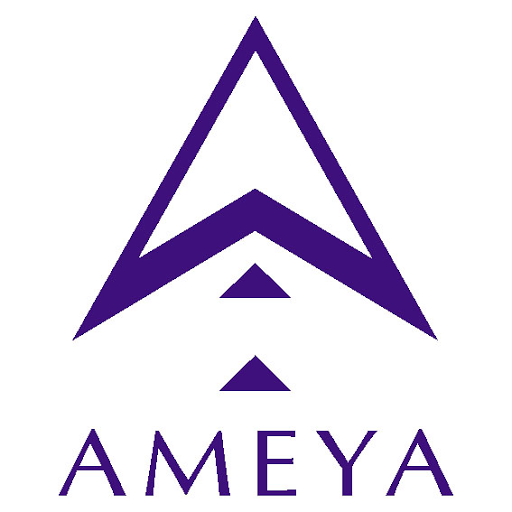 Ameya Professional Competency Development & Consulting Private Limited, AMEYA, Koppam, Palakkad, Kerala 678001, India, Auditor, state KL