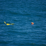 glider at sea