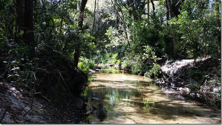 Little Wekiva River-1