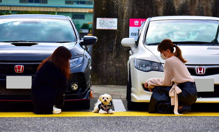 の投稿画像6枚目