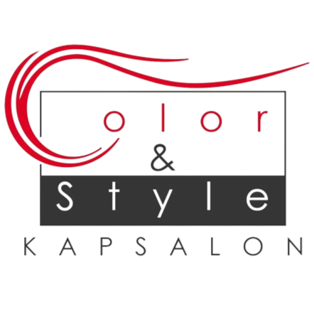 Kapper Beuningen | Haar verven | Color & Style logo