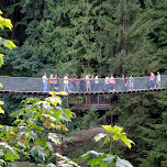 suspension bridge in North Vancouver, Canada 