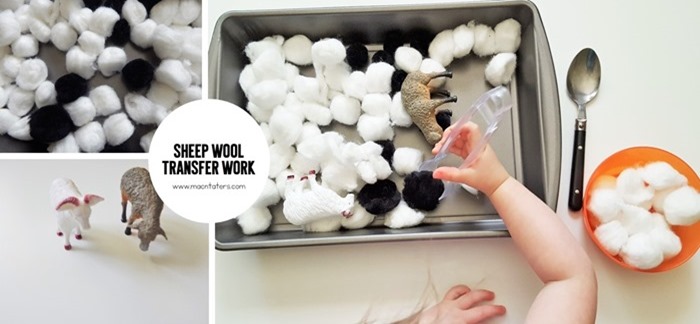 Montessori Inspired Sheep Wool Transfer Work Tray