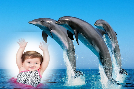 How to get Dolphin Photo Frames 1.0 apk for android