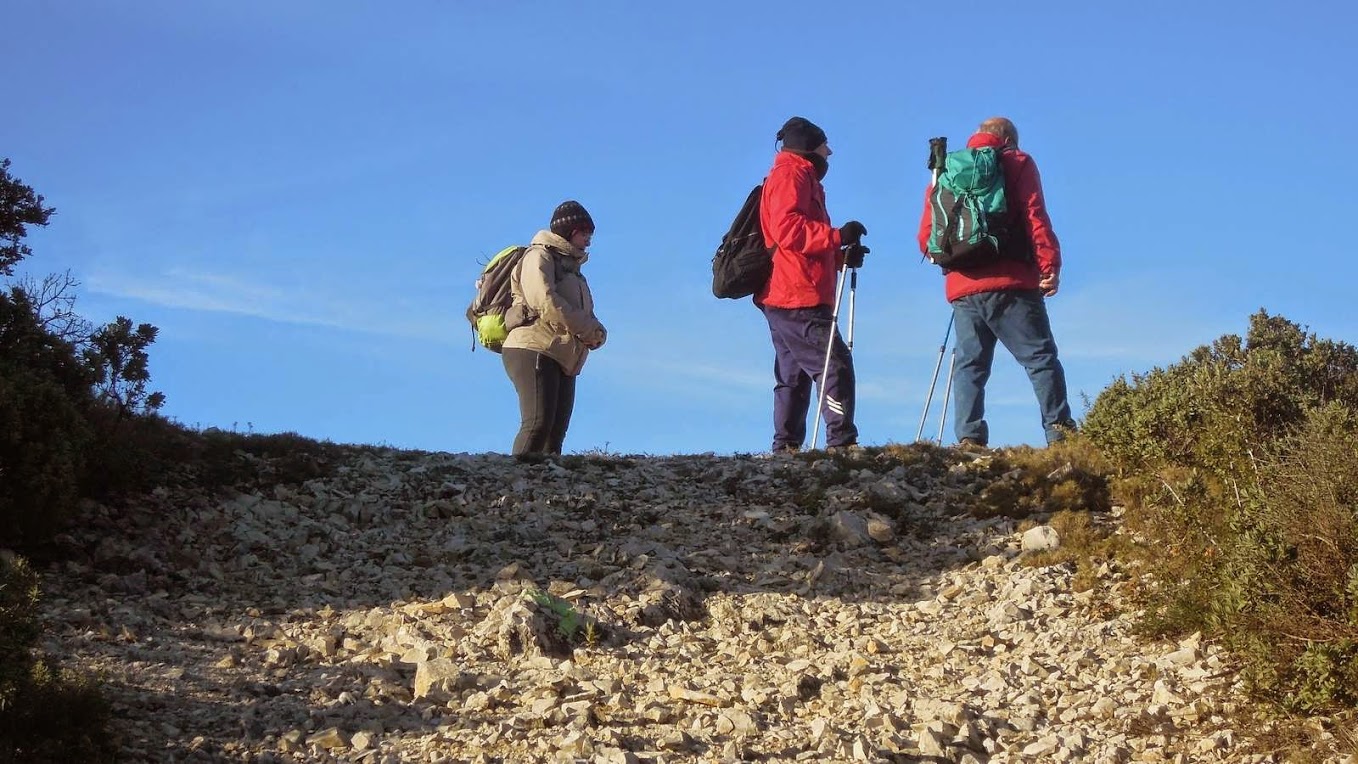 Rando d'Eyguières le le 8 janvier 2015 DSCN6899