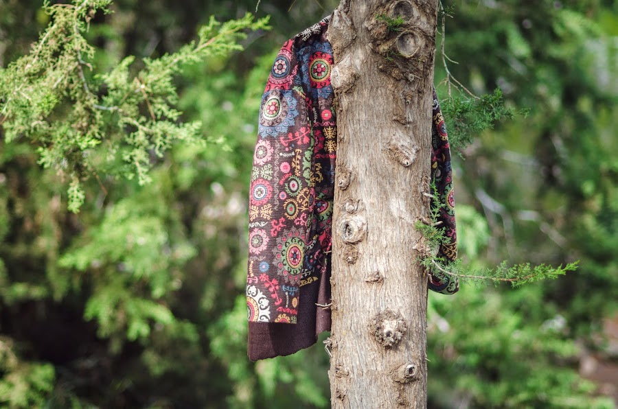 forest jacket on tree