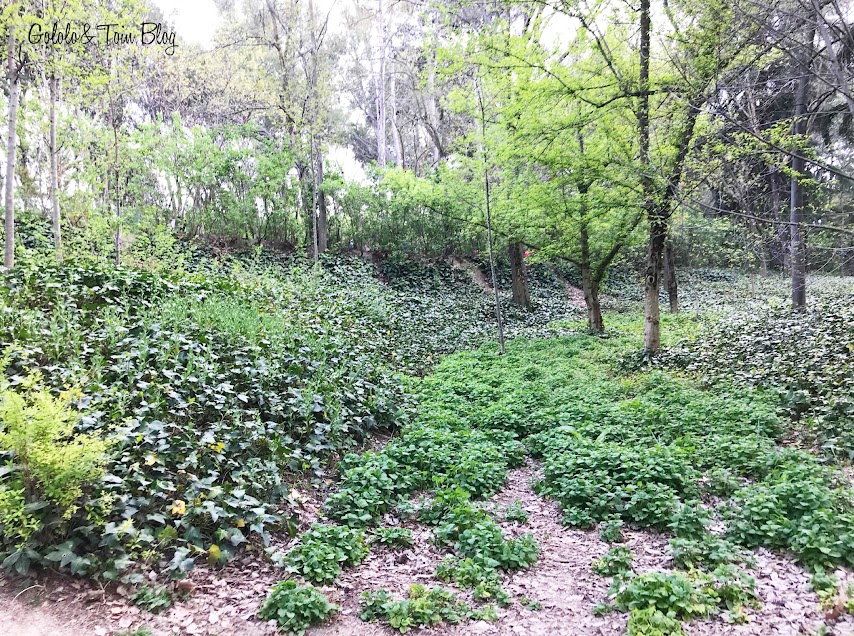 Parques para ir con niños en Madrid