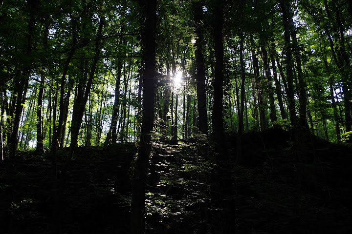 MARCHE 20 KMS DES GODILLOTS D OTTANGE photos de Marc IMGP6424%252520%252528Copier%252529