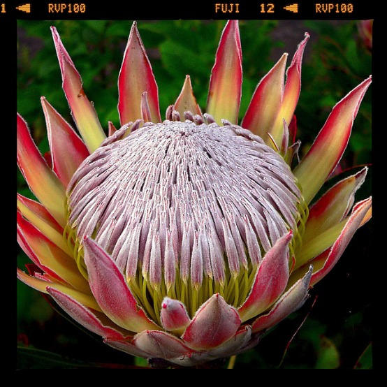 17 b.jpg 17 b