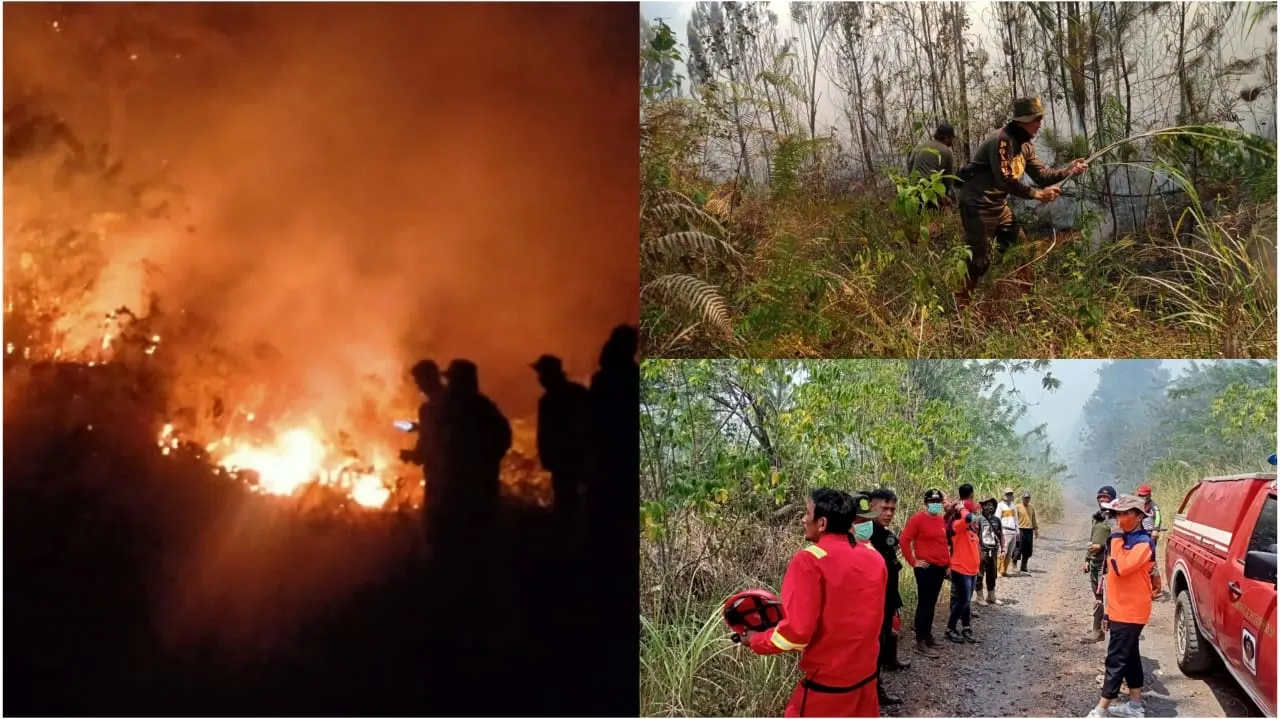 Kebakaran hutan lindung gunung soputan. (Foto istimewa)