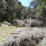 Looking up Sandy Beach Creek (105994)