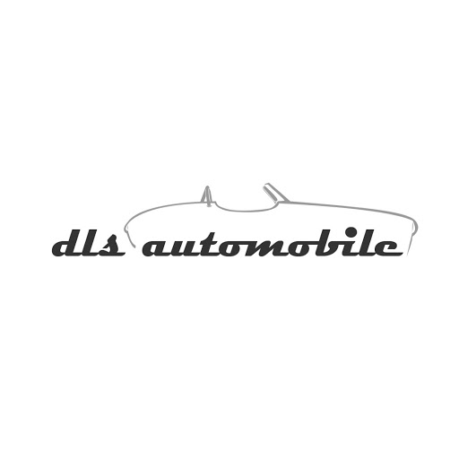 DLS Automobile logo