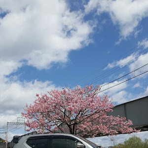アルトワークス HA36S
