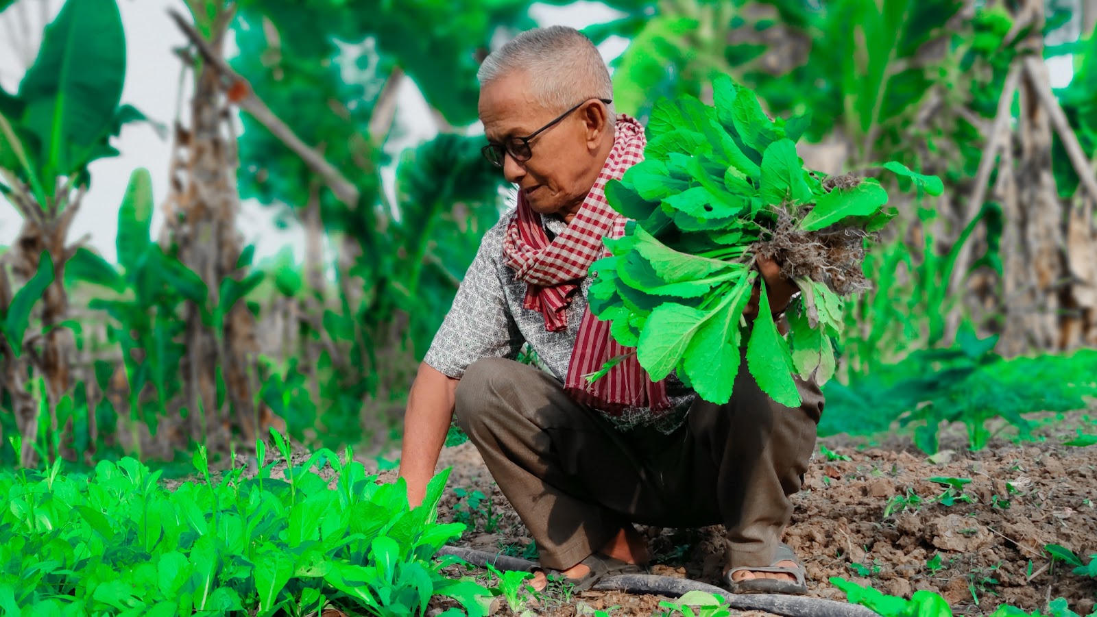 សម្រង់ពាក្យសម្ដីមានអត្ថន័យ 