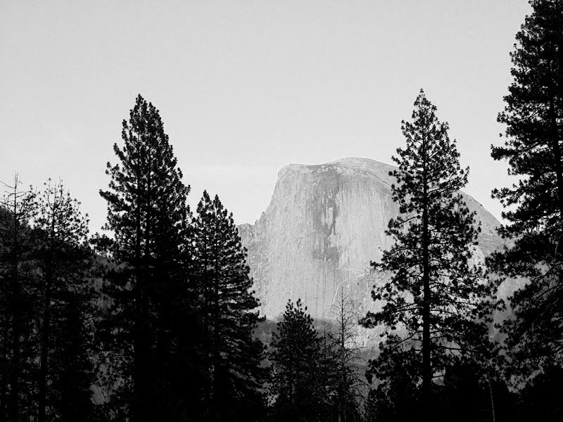 Yosemite National Park • 2002 • Douglas Stebila