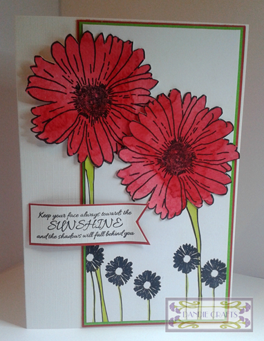 Red Daisies