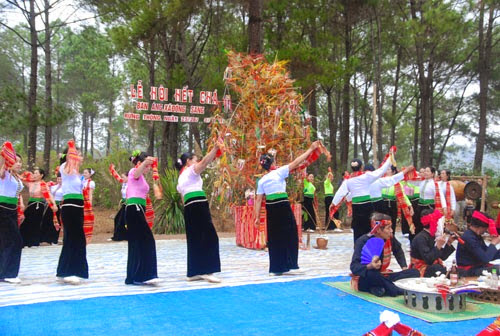 7 Du lịch Mộc Châu: ngút ngàn rừng thông Bản Áng