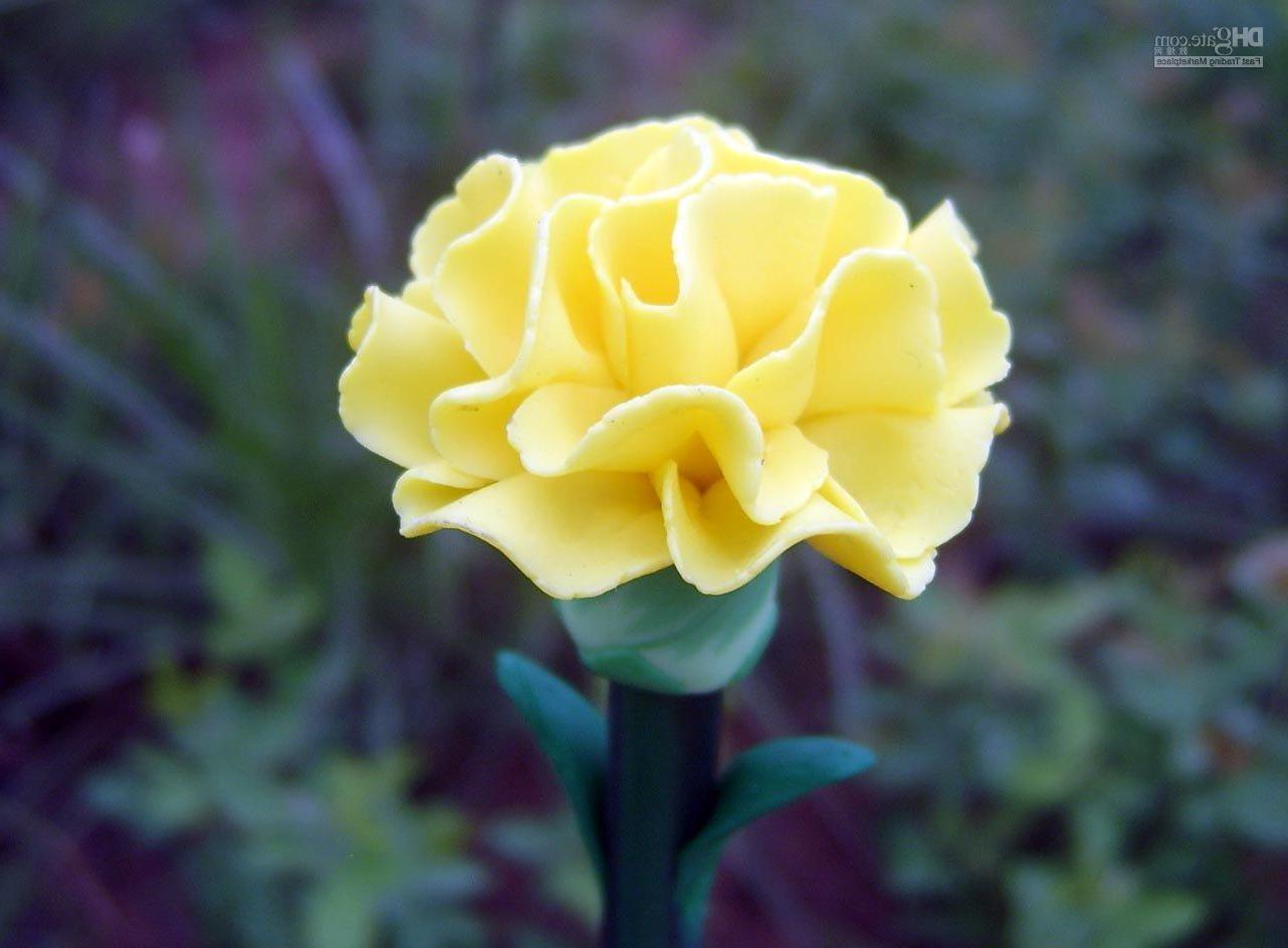 white carnation wedding